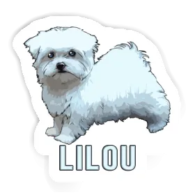 Sticker Maltese Lilou Image
