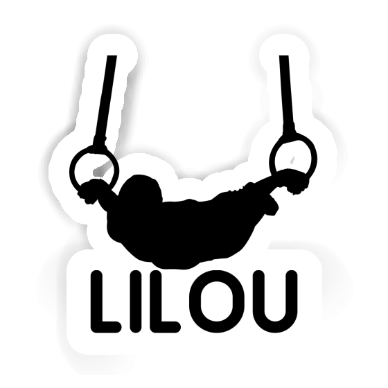 Aufkleber Lilou Ringturner Notebook Aufkleber Lilou Ringturner Gift package Image