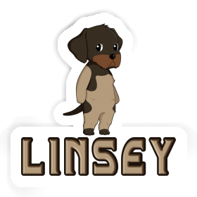 Sticker Linsey Deutsch Drahthaar Image