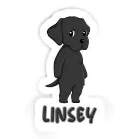 Labrador Aufkleber Linsey Image