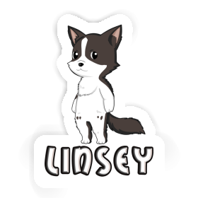Aufkleber Border Collie Linsey Image