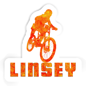 Freeride Biker Aufkleber Linsey Image