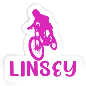 Aufkleber Freeride Biker Linsey Image