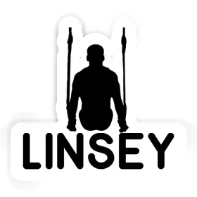Autocollant Linsey Gymnaste aux anneaux Image