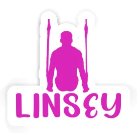Linsey Autocollant Gymnaste aux anneaux Image