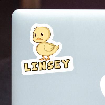 Canard Autocollant Linsey Gift package Image