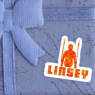 Gymnaste aux anneaux Autocollant Linsey Gift package Image