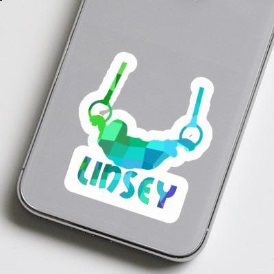 Aufkleber Ringturner Linsey Notebook Aufkleber Ringturner Linsey Gift package Image