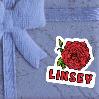 Aufkleber Linsey Rose Laptop Image