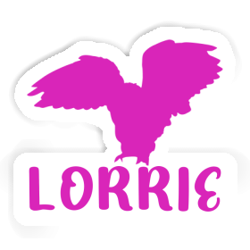 Sticker Owl Lorrie Image