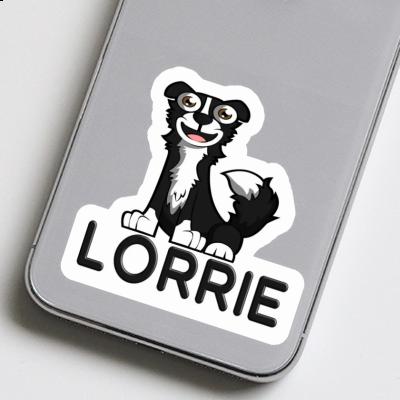 Sticker Collie Lorrie Gift package Image