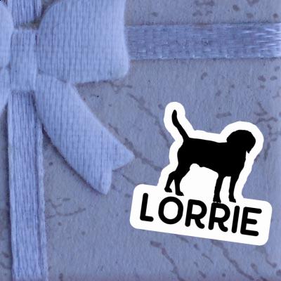 Autocollant Chien Lorrie Gift package Image