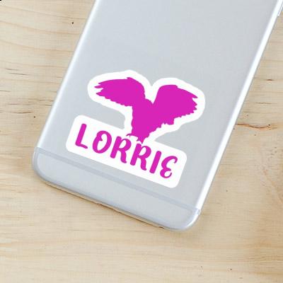 Sticker Owl Lorrie Image