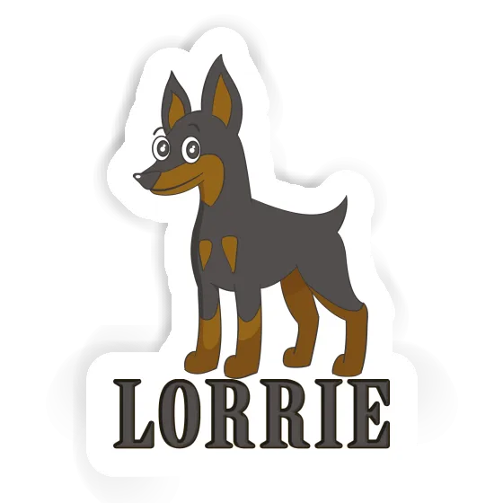 Autocollant Lorrie Pinscher Gift package Image