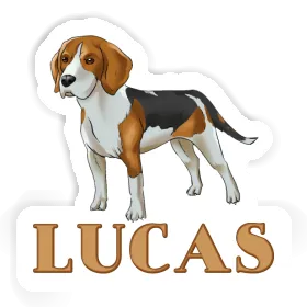 Beagle Autocollant Lucas Image