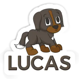 Lucas Sticker Bernese Mountain Dog Image