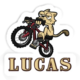 Chat à vélo Autocollant Lucas Image