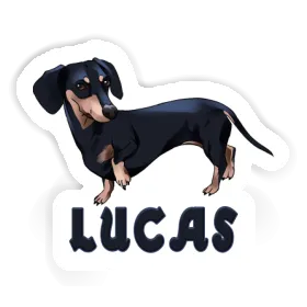 Autocollant Teckel Lucas Image