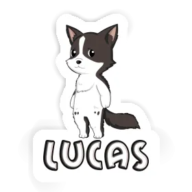 Sticker Border Collie Lucas Image