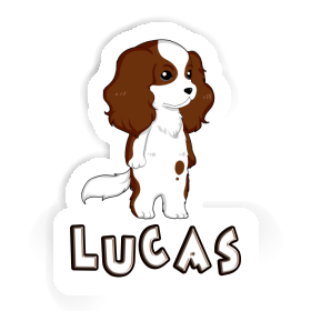 Cavalier King Charles Spaniel Autocollant Lucas Image