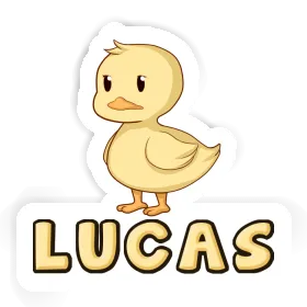 Lucas Autocollant Canard Image