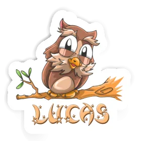Lucas Autocollant Hibou Image