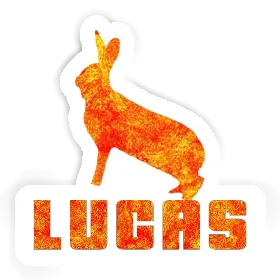 Lucas Sticker Rabbit Image