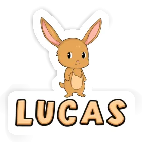 Lucas Sticker Rabbit Image