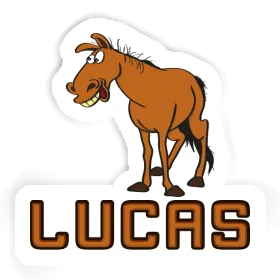 Lucas Aufkleber Pferd Image