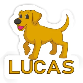 Autocollant Lucas Labrador Image