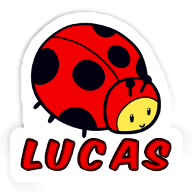 Lucas Sticker Marienkäfer Image