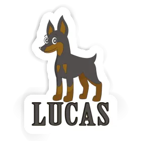 Pinscher Sticker Lucas Image