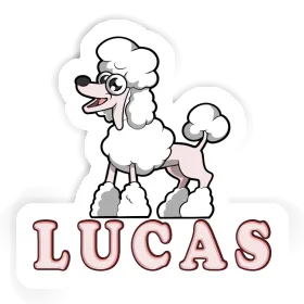 Poodle Sticker Lucas Image