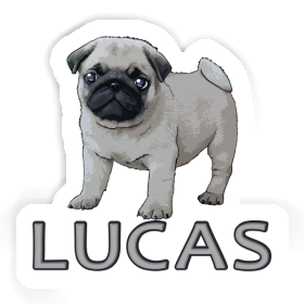 Autocollant Lucas Carlin Image