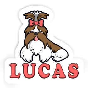 Lucas Autocollant Shih Tzu Image