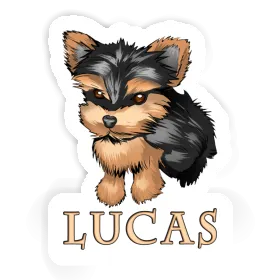 Autocollant Yorkie Lucas Image