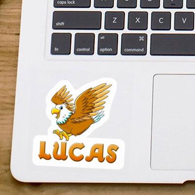 Autocollant Aigle Lucas Image