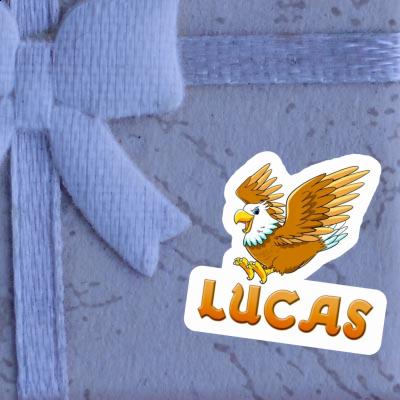Autocollant Aigle Lucas Notebook Image