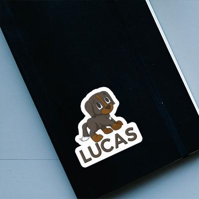 Lucas Sticker Bernese Mountain Dog Gift package Image