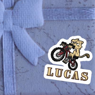 Chat à vélo Autocollant Lucas Gift package Image