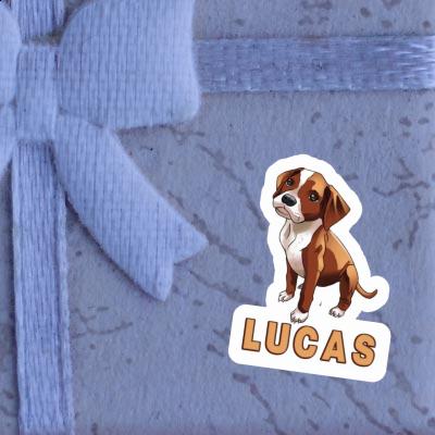 Autocollant Boxer Lucas Notebook Autocollant Boxer Lucas Notebook Image