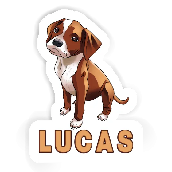 Autocollant Boxer Lucas Notebook Autocollant Boxer Lucas Gift package Image