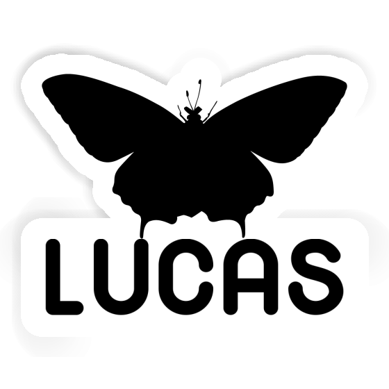 Autocollant Lucas Papillon Gift package Image