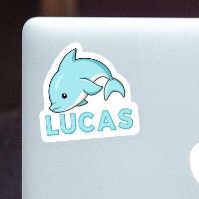 Sticker Dolphin Lucas Laptop Sticker Dolphin Lucas Laptop Image