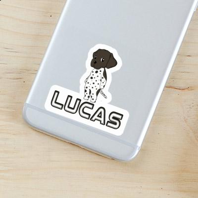 Autocollant Braque Allemand Lucas Laptop Autocollant Braque Allemand Lucas Laptop Image