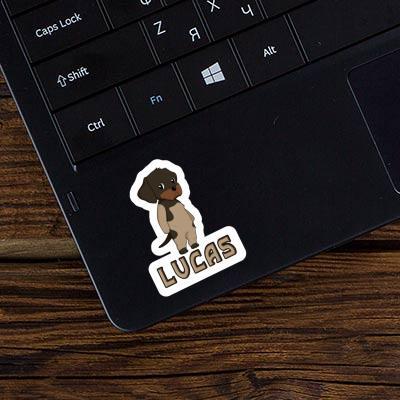 Sticker German Wirehaired Lucas Sticker German Wirehaired Lucas Image