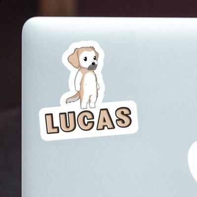Autocollant Golden Retriever Lucas Notebook Autocollant Golden Retriever Lucas Gift package Image