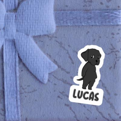 Sticker Labrador Retriever Lucas Gift package Image