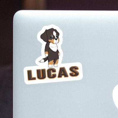 Sticker Bernese Mountain Dog Lucas Sticker Bernese Mountain Dog Lucas Image