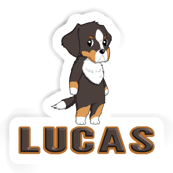 Sticker Bernese Mountain Dog Lucas Laptop Sticker Bernese Mountain Dog Lucas Laptop Image